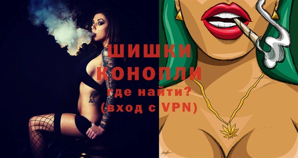 стаф Баксан
