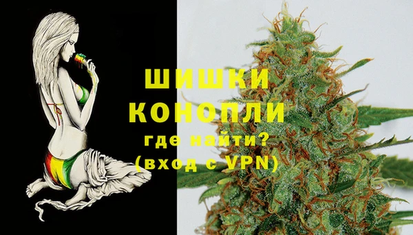 стаф Няндома
