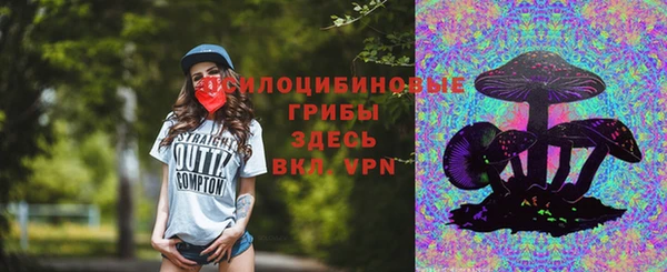 стаф Баксан