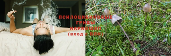 мяу мяу мука Балахна